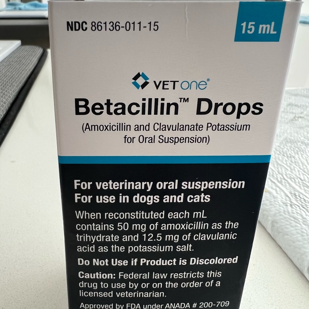 Betacillin dog cat